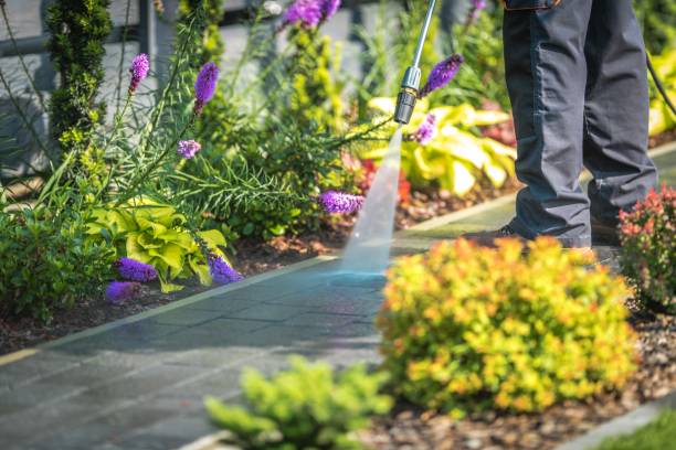 Best Animal Enclosure Cleaning  in Holmen, WI