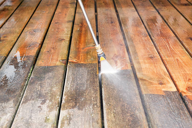 Animal Enclosure Cleaning in Holmen, WI